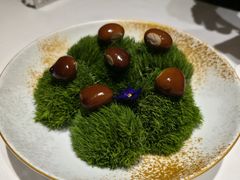 -鹿园 MOOSE(长宁店)