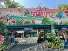 -广州长隆飞鸟乐园