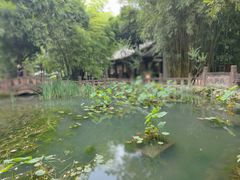 -望江楼公园