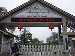 -中国大熊猫保护研究中心雅安碧峰峡基地
