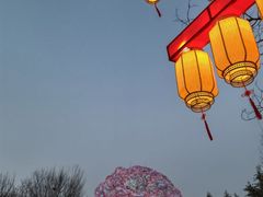 -洛阳市隋唐城遗址植物园