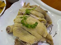 白斩鸡-全乐鱼馆·淳牌有机鱼直营店