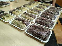 -西归浦每天偶来市场