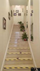 -静博士·养生养颜