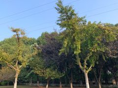 -南京林业大学(淮安校区)