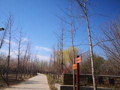 -廊坊市自然公园