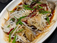 油泼特大蛏子-开海·红岛海鲜虾水饺(石老人店)