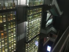 -广东中医药博物馆