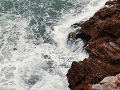 -广东惠东海龟国家级自然保护区