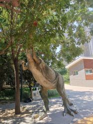 -大望京儿童游乐场