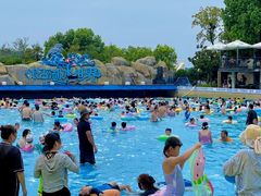 -南京银杏湖乐园