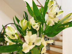 -森野花艺培训·企业团建活动沙龙