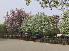 -丰台花园
