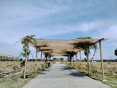 -中国天府农业博览园