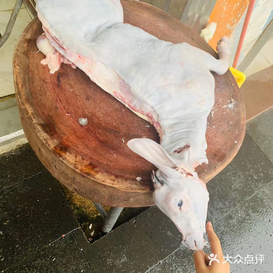 梁记永发乳羊店