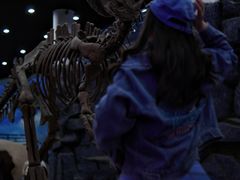 -吉林省自然博物馆