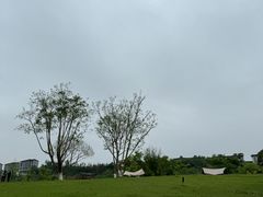 -金海湾滨江公园