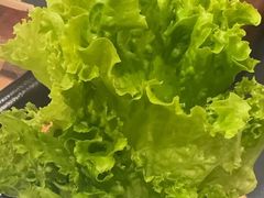 -蜀九香火锅(彩虹店)
