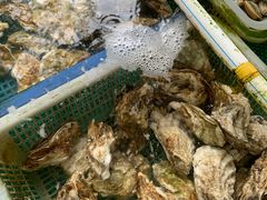-公寓家常菜馆(海军博物馆店)