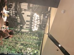 -茅庐毛血旺(临沂泰盛广场店)