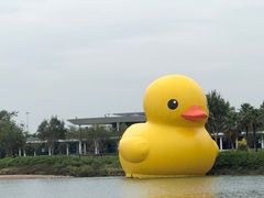 -深圳人才公园