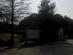 -汉拿树木园