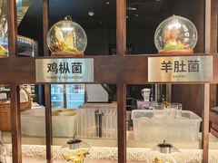 -芸山季·云南山珍菌火锅(人民广场来福士店)