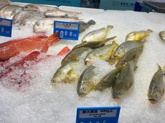 -麦德龙(浦东店)
