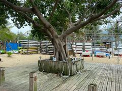 -大梅沙游艇度假酒店