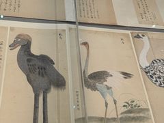 -东京国立博物馆