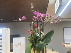 -北京盈之宝宝马&MINI4S店(望京店)