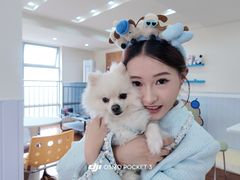 -汪说·狗咖·拼豆·宠物周边DIY(旺城大厦店)