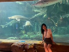 -华夏文旅西安度假区