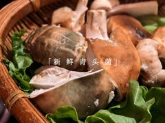 -滇野云南野生菌餐厅(陕西南路店)