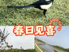 -洨河生态公园