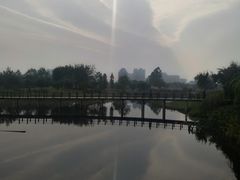 -眉山湿地公园(东坡区)