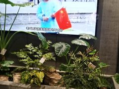 -陈熹公民族美食文化餐厅(中华广场店)