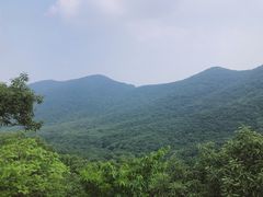 -皇藏峪国家森林公园