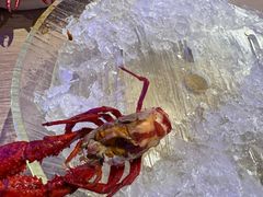 -红盔甲·小龙虾(车公庙店)