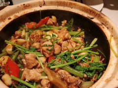 沙姜嗜鸡-煲煲好(朝阳门店)