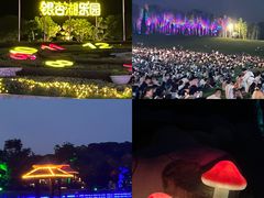 -南京银杏湖乐园