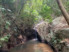 -阳台山森林公园