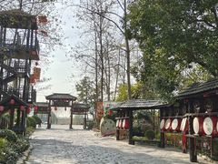 -合肥滨湖国家森林公园