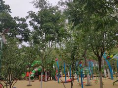 -合肥滨湖国家森林公园