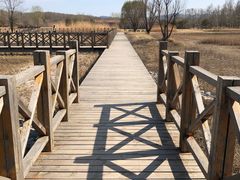 -野鸭湖国家湿地公园