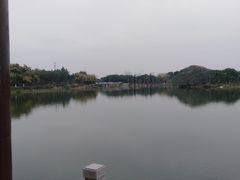 -海珠湖公园