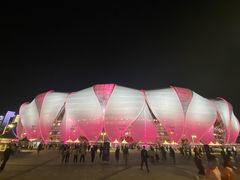 -杭州奥体中心-体育场