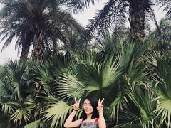 -瑶湖郊野森林公园