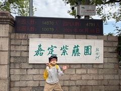 -嘉定紫藤园