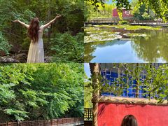 -洛阳白云山景区